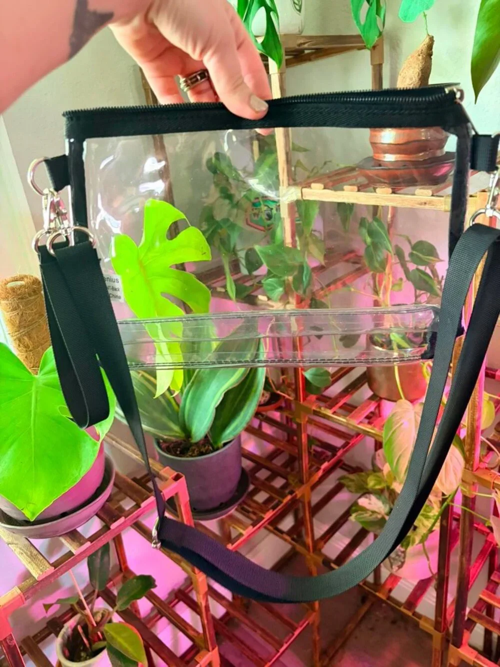 NEW Clear Stadium Crossbody Bag with Adjustable Strap